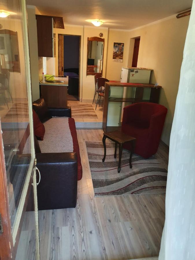 Apartman Sergej 2 Сокобаня Экстерьер фото