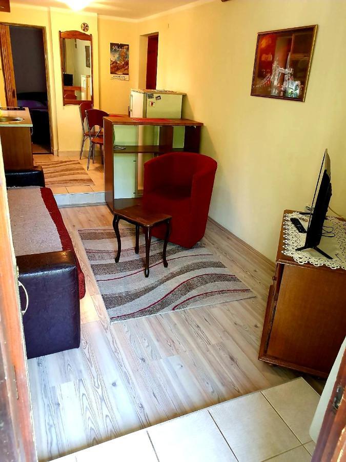 Apartman Sergej 2 Сокобаня Экстерьер фото