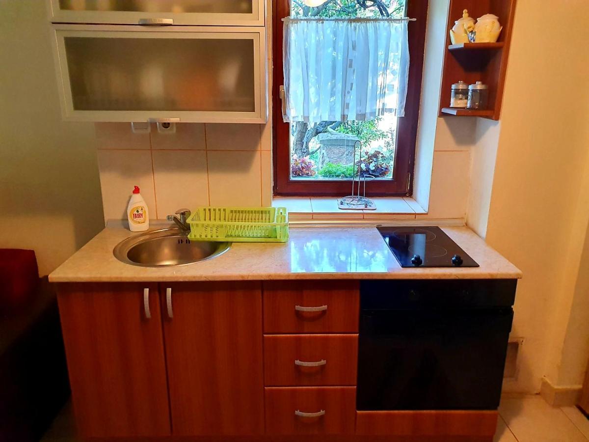 Apartman Sergej 2 Сокобаня Экстерьер фото